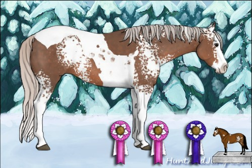 Horse Color: White Spotted Silver Black Splash Tobiano 