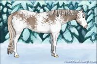 Horse Color:White Spotted Silver Black Sabino