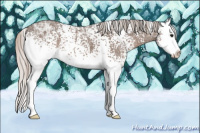 Horse Color:White Spotted Silver Black Ice Splash 