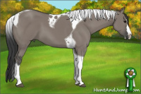 Horse Color:Grullo Splash Tobiano 