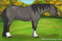 Horse Color:Grullo Tobiano