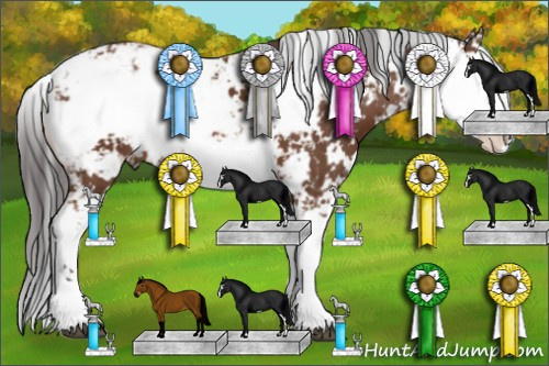 Horse Color: Bay Sabino 