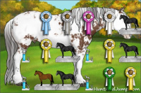Horse Color:Bay Sabino 
