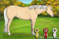 Horse Color:Silver Amber Cream Champagne Sabino Tobiano 