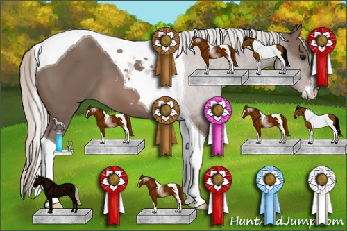 Horse Color: Silver Black Sabino Tobiano 