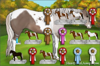 Horse Color:Silver Black Sabino Tobiano 