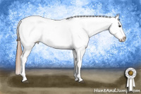 Horse Color:Blue Ice Roan Appaloosa 