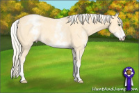 Horse Color:White Spotted Gold Cream Champagne Roan 