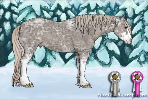 Horse Color: Silver Black Ice Sabino 
