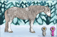 Horse Color:Silver Black Ice Sabino 