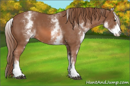 Horse Color: White Spotted Chestnut Sabino 