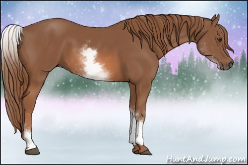 Horse Color: White Spotted Chestnut Sabino 