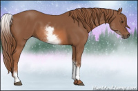 Horse Color:White Spotted Chestnut Sabino 
