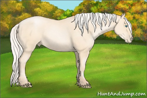 Horse Color: Silver Amber Cream Champagne Pearl 