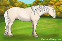 Horse Color:Silver Amber Cream Champagne Pearl 