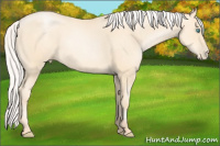 Horse Color:Silver Amber Cream Champagne Pearl 