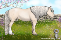 Horse Color:Gold Cream Champagne Pearl 