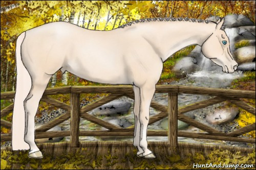 Horse Color: Gold Cream Champagne Pearl 