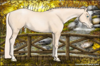 Horse Color:Gold Cream Champagne Pearl 