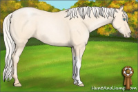 Horse Color:Silver Amber Cream Champagne Pearl 