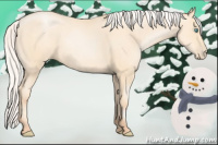 Horse Color:Silver Amber Cream Champagne Pearl