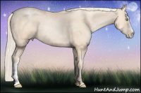 Horse Color:Gold Cream Champagne Pearl 