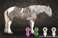 Horse Color:Gold Champagne Ice Pearl Tobiano 