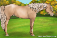 Horse Color:Gray Gold Cream Champagne Pearl 