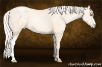 Horse Color:Silver Amber Cream Champagne Pearl 