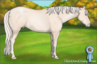 Horse Color:Gold Cream Champagne Pearl 