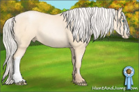 Horse Color:Silver Amber Cream Champagne Pearl