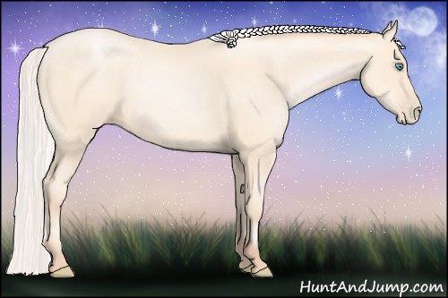 Horse Color: Silver Amber Cream Champagne Pearl 
