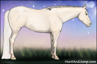 Horse Color:Silver Amber Cream Champagne Pearl