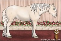 Horse Color:Gold Cream Champagne Pearl 