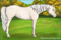 Horse Color:Silver Sable Cream Champagne Pearl