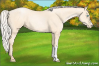 Horse Color:Silver Amber Cream Champagne Pearl