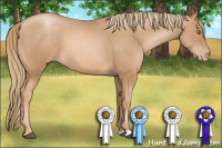 Horse Color:Liver Chestnut Pearl 