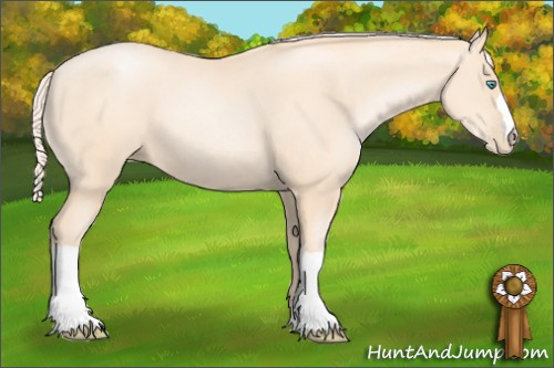 Horse Color: Gold Cream Champagne Pearl 