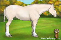 Horse Color:Gold Cream Champagne Pearl 