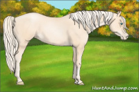 Horse Color:Gold Cream Champagne Pearl 