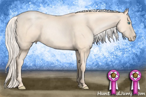 Horse Color: Gold Cream Champagne Pearl 