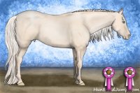 Horse Color:Gold Cream Champagne Pearl 