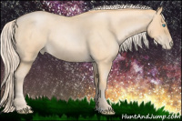 Horse Color:Chocolate Palomino Roan Pearl 
