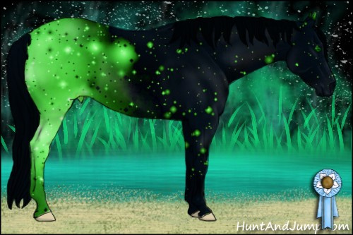 Horse Color: ERROR: UNKNOWN ANOMALY