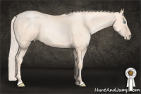 Horse Color:Gold Cream Champagne Pearl 