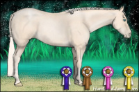 Horse Color:Gold Cream Champagne Roan Pearl 