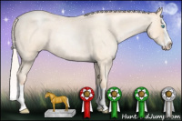 Horse Color:Silver Amber Cream Champagne Roan Pearl Splash