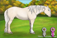 Horse Color:Silver Sable Cream Champagne Pearl 