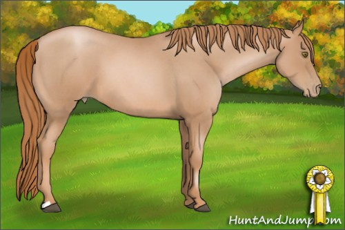 Horse Color: Liver Red Roan Pearl 