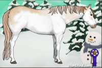 Horse Color:Red Dun Roan Splash Frame Rabicano